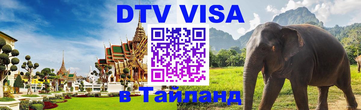 Сколько стоит DTV виза — актуальные цены, оформление даже без документов - Ноябрьск 